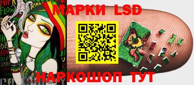 спайс Кингисепп