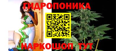 скорость Канаш