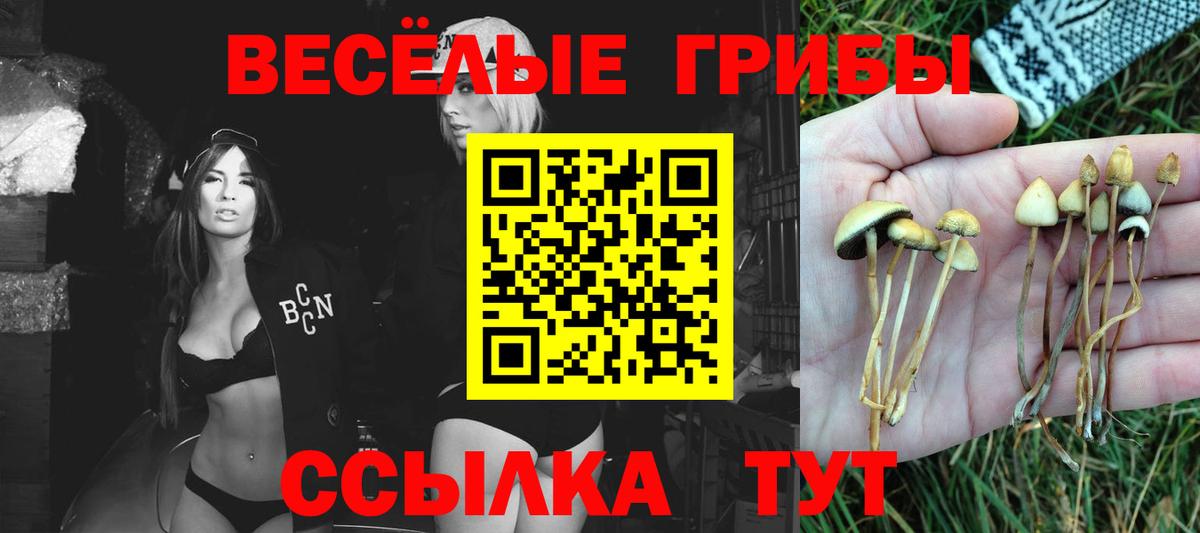 Галлюциногенные грибы GOLDEN TEACHER  Вход с VPN  Галлюциногенные грибы Magic Shrooms  Кузнецк 