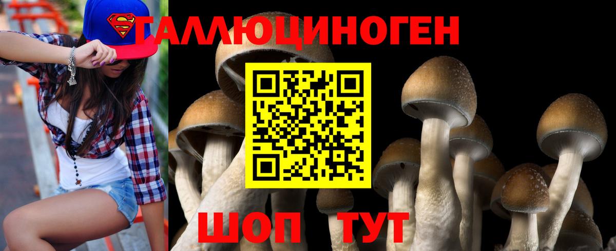 Псилоцибиновые грибы Magic Shrooms Кузнецк